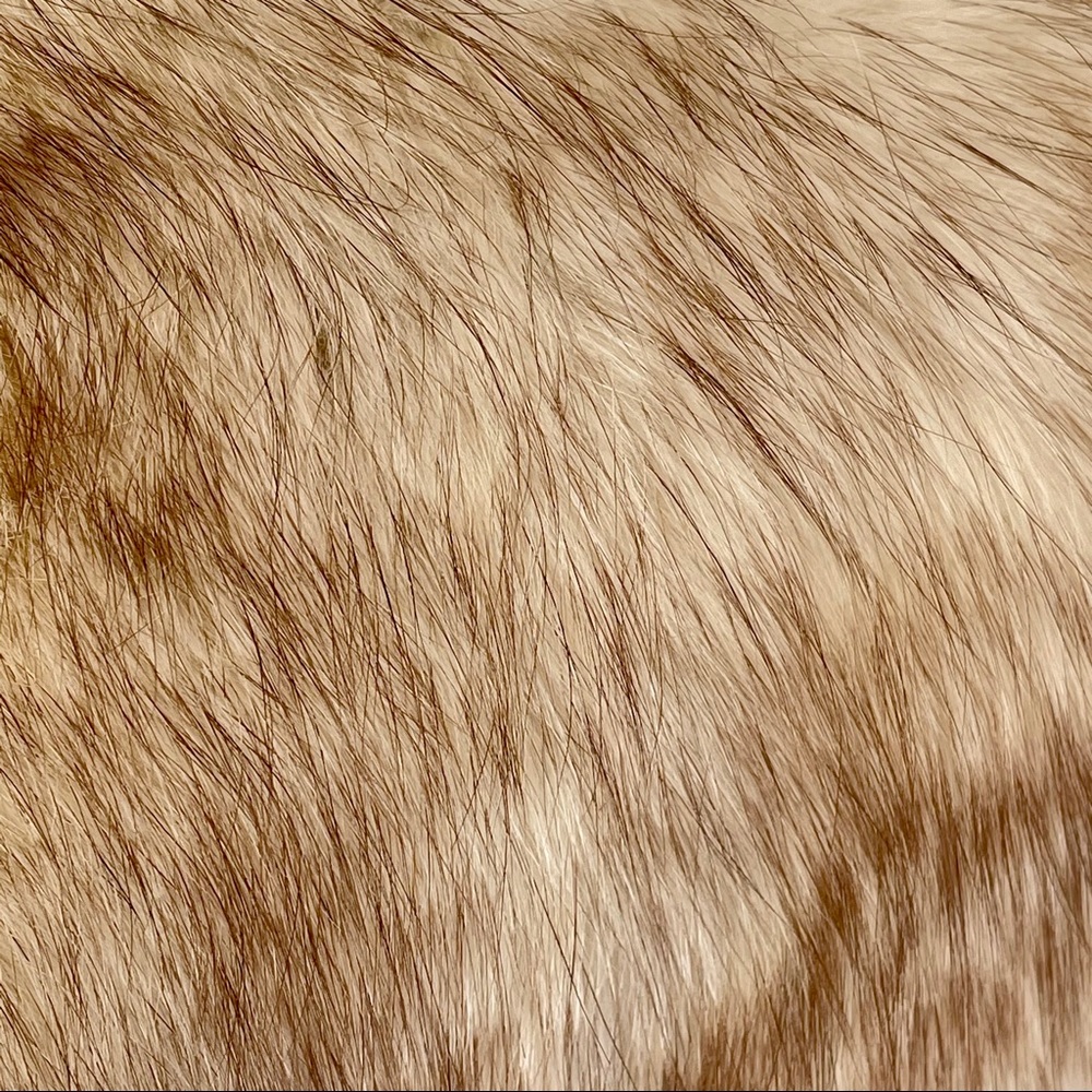 Era1960’s Gorgeous Tailored Coat with real fur S-M - Picture 7 of 9